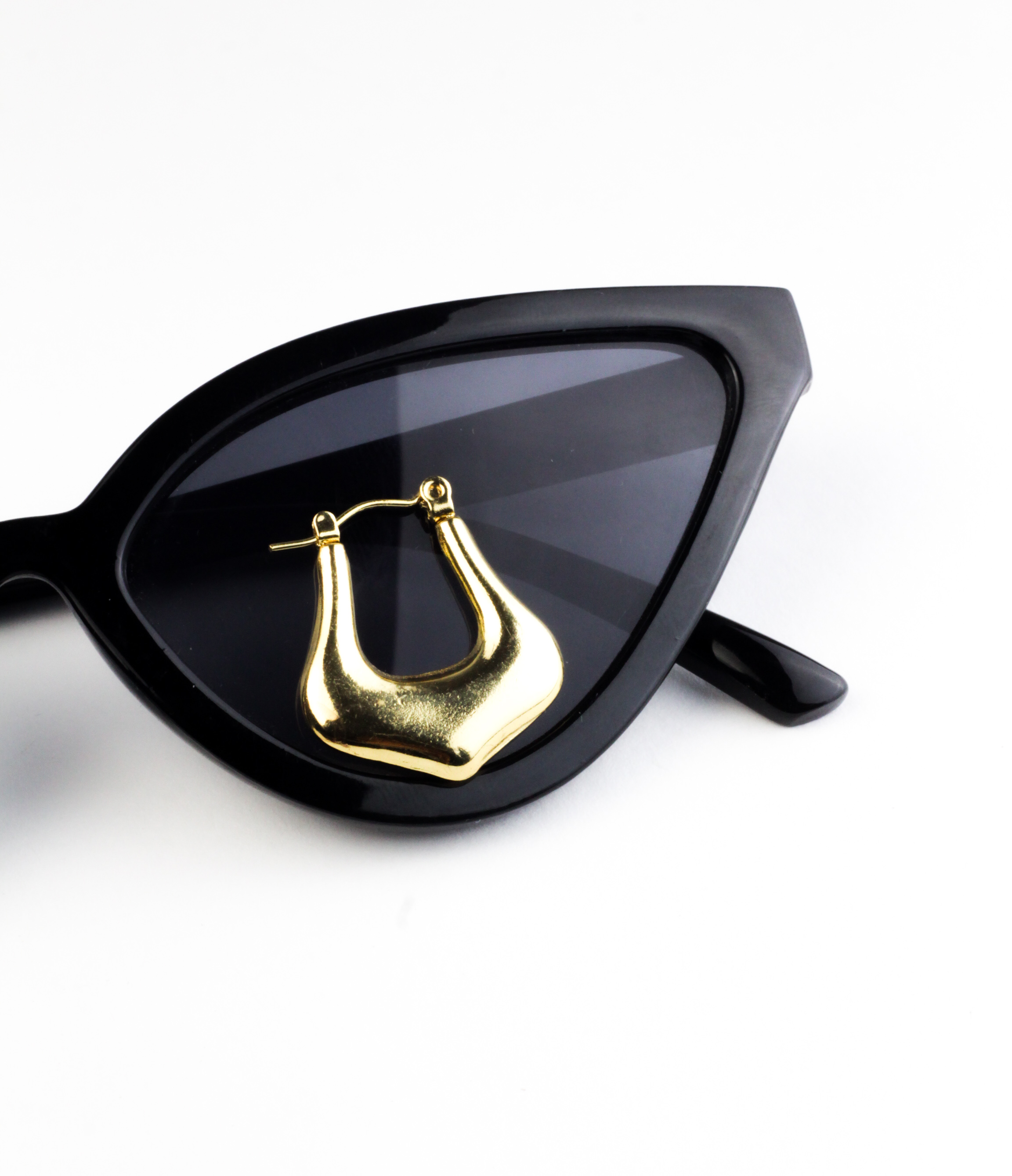 Stainless Steel Earrings