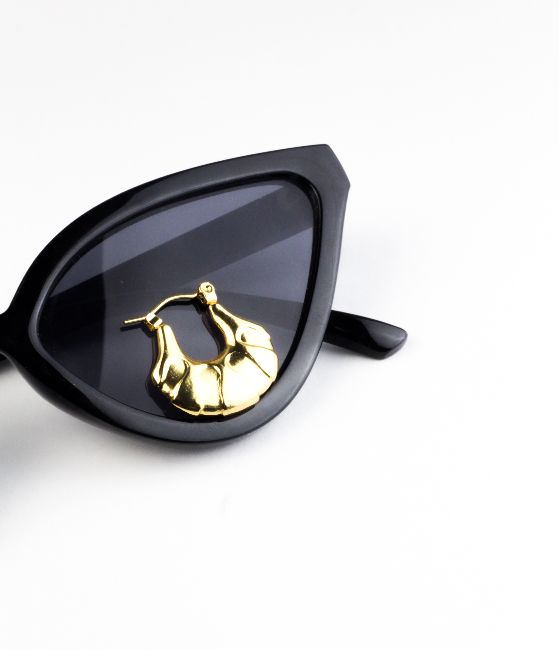 Stainless Steel Earrings